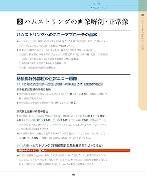 スポーツ障害〉筋損傷のエコー活用術 ―電子版付― | 和田 誠, 熊井 司
