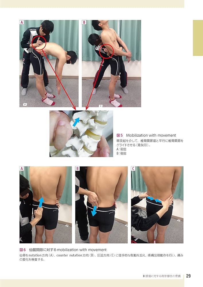 フルカラーでやさしくわかる! 腰痛の理学療法 | 青木 保親, 杉浦 史郎