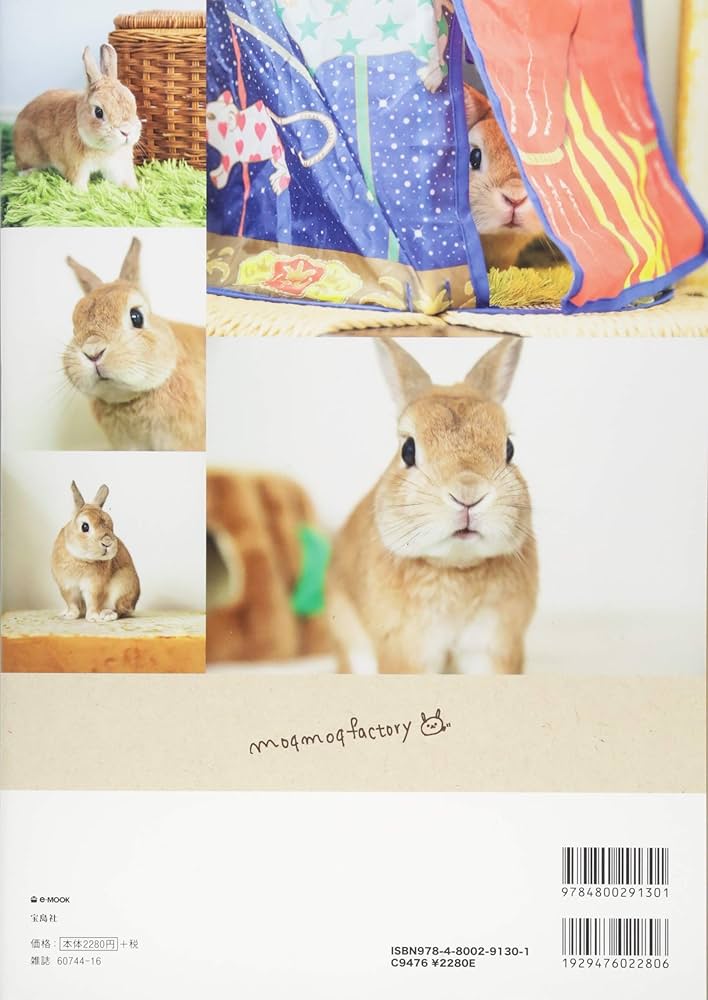 うさぎみたいなしっぽ付きファーBag Book (e-MOOK 宝島社ブランド