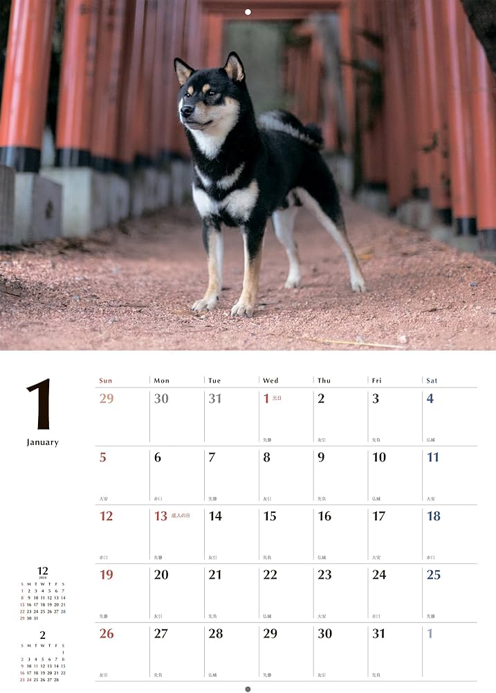 黒柴カレンダー 2025（壁掛け） ([カレンダー]) | 蜂巣 文香 |本