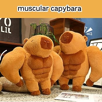 Amazon.co.jp: カピバラさん ぬいぐるみ 45/65cm、腹筋, カピバラ