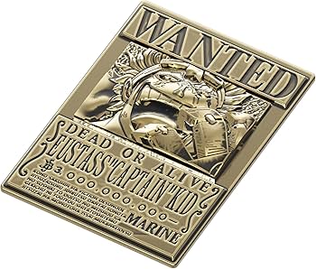 Amazon.co.jp: SxE ワンピース 金属製 手配書 3点セット ニカルフィ