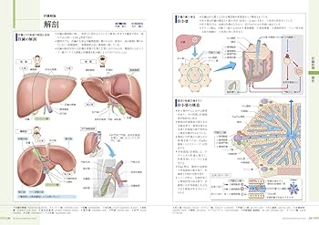 病気がみえる 〈vol.1〉 消化器 | 医療情報科学研究所 |本 | 通販 | Amazon