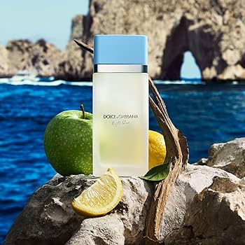 Amazon.com: Dolce&Gabbana New Light Blue, Eau De Toilette Travel