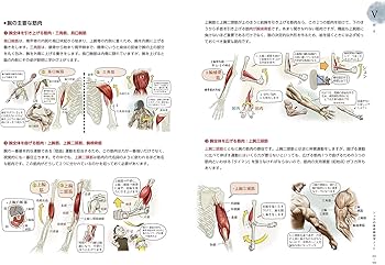 ソッカの美術解剖学ノート | ソク・ジョンヒョン, チャン・ジニ |本