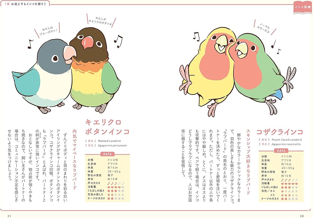 818Q5EHxiLL._AC_UF1000,