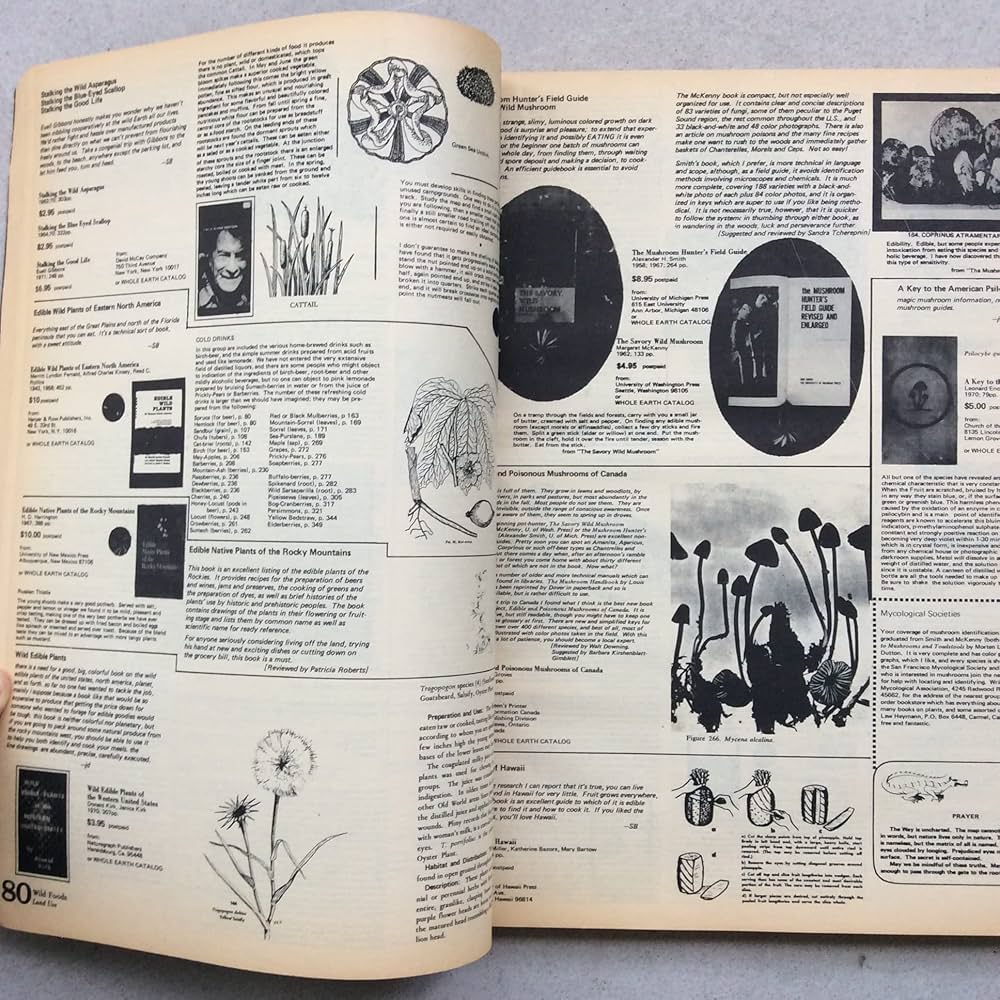 The Last Whole Earth Catalog .access to tools-vintage book