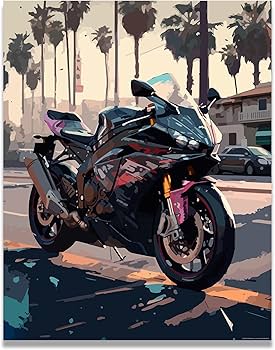 Amazon.com: Inspirational Wall Art Co. - Pacey | Ninja ZX6R