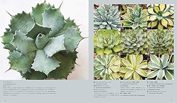 多肉植物全書 All about SUCCULENTS | パワポン・スパナンタナーノン