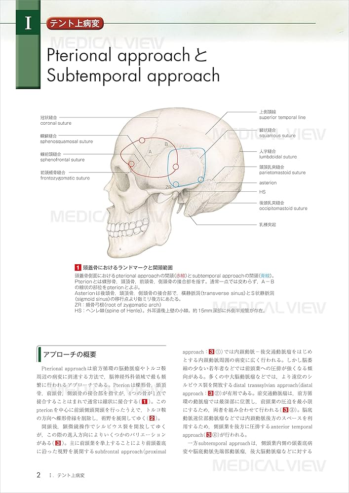 新 脳神経外科手術のための解剖学 | 塩川 芳昭, 斉藤 延人, 川原 信隆
