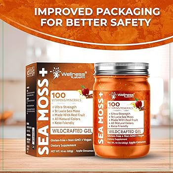 SEACNight & Morning all in one gel 7個セット SEACNight & Morning