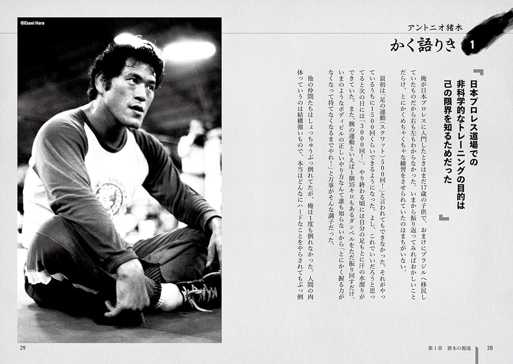 8192i3DihjL._AC_UF1000,