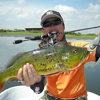 Amazon | スピニングリール 5000/6000番 15KGドラグ力 サビキ・アジ