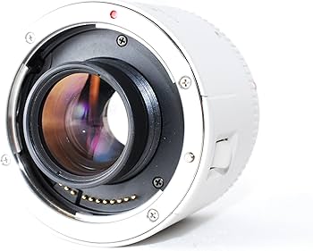 81+pl77PHTL._AC_UF350,