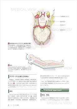 新 脳神経外科手術のための解剖学 | 塩川 芳昭, 斉藤 延人, 川原 信隆