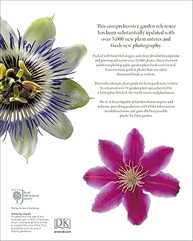 810Ol8w5TIL._AC_UF350,