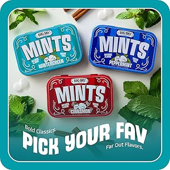 Amazon.com : Big Sky Sugar Free Wintergreen Mints - 50 Count Tin