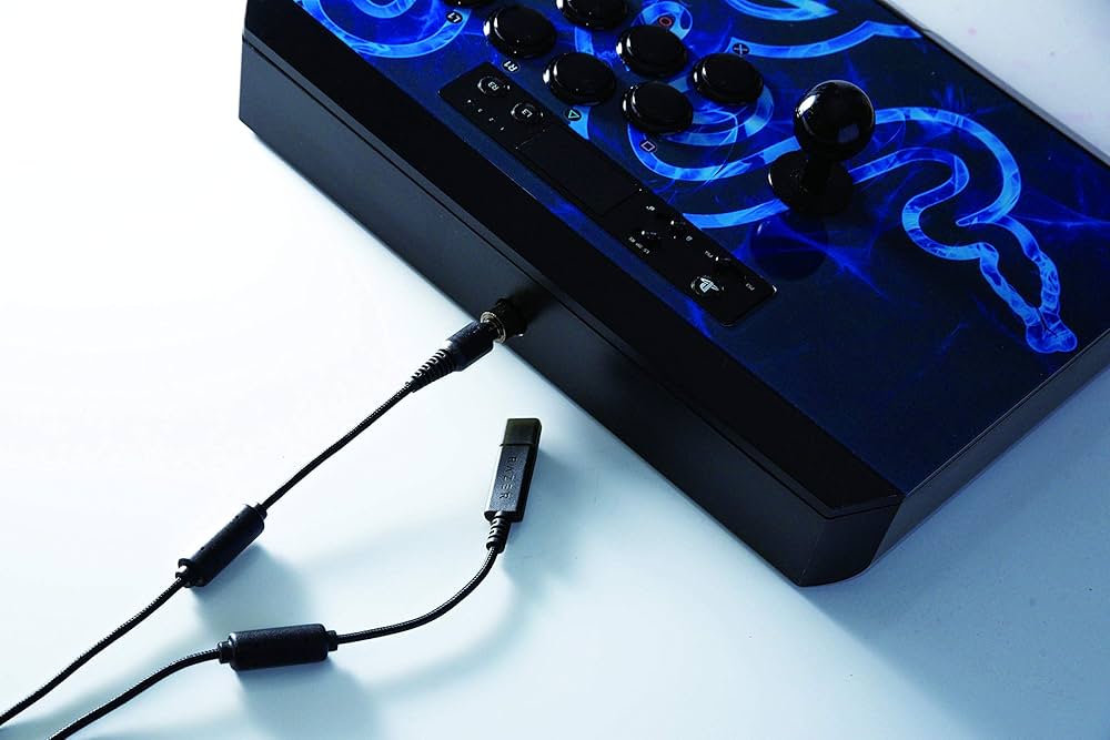 810j4lU8DSL._AC_UF1000,