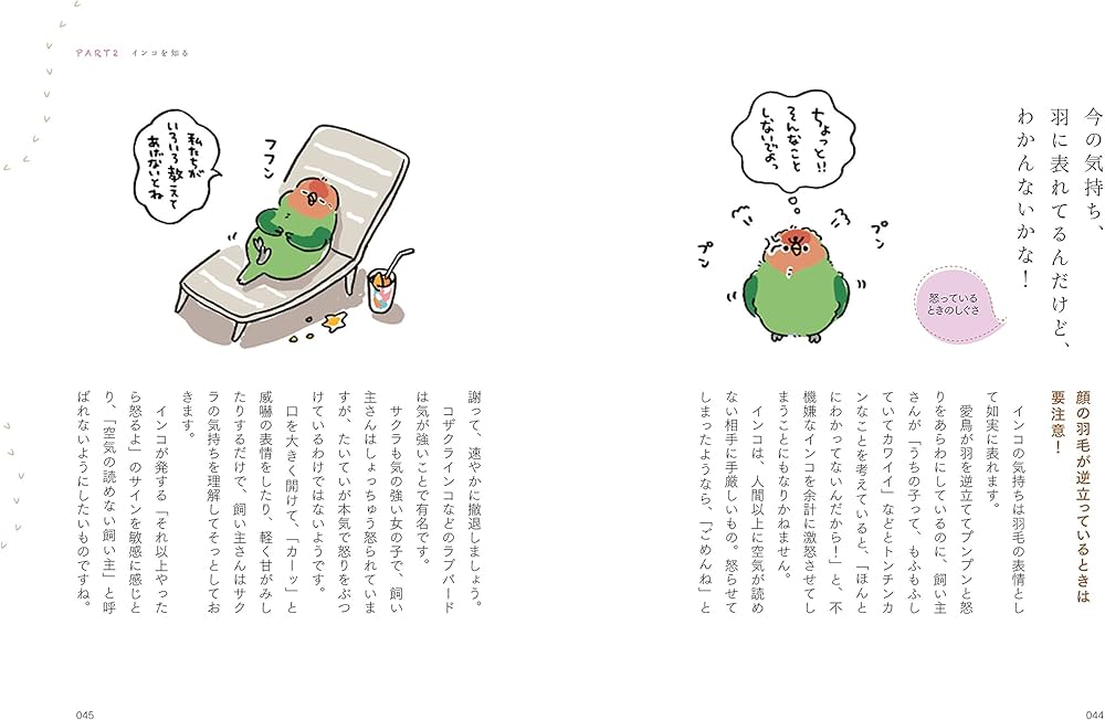 インコがやっぱり、いちばんかわいい! | 只野 ことり |本 | 通販 | Amazon
