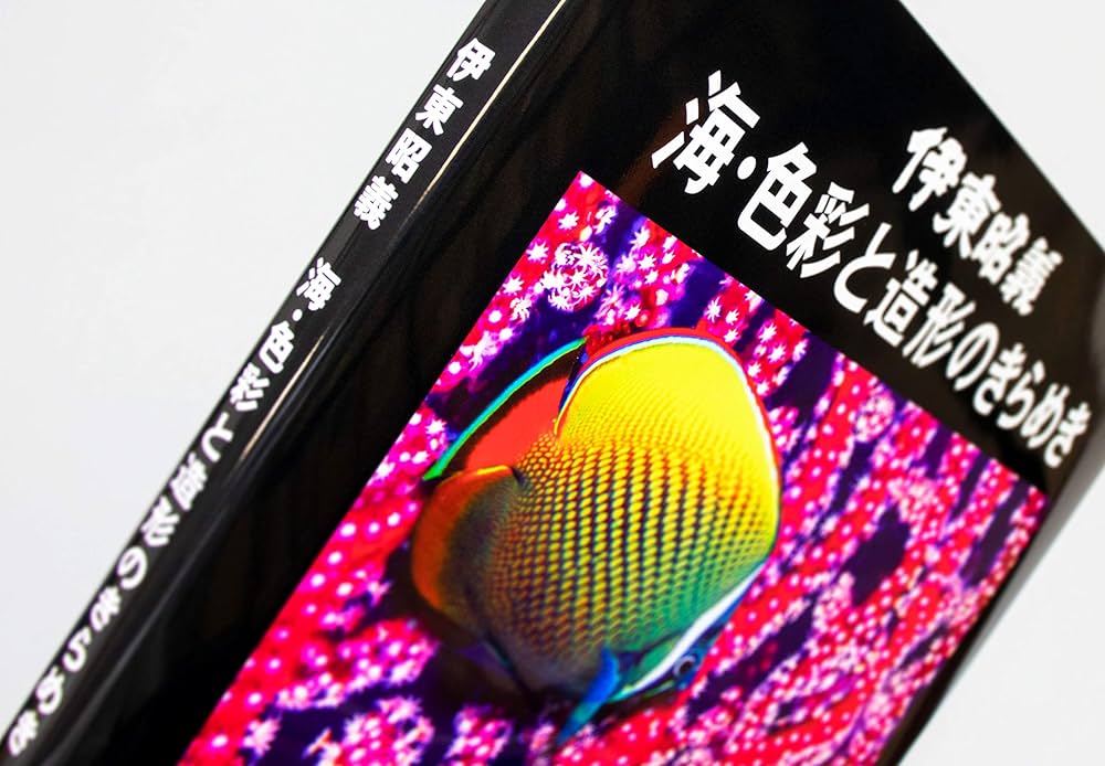 Amazon.co.jp: 伊東昭義 海・色彩と造形のきらめき : 伊東昭義