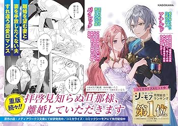 拝啓見知らぬ旦那様、離婚していただきます〈下〉 (メディアワークス