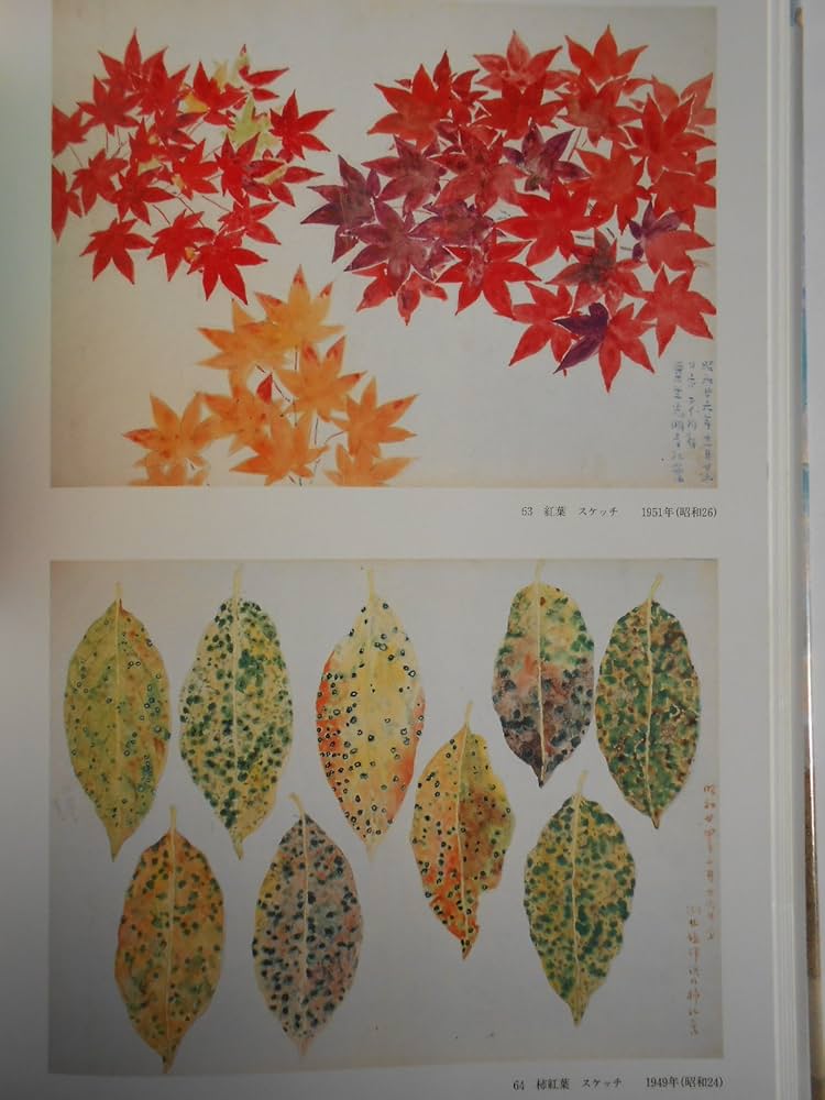 現代日本素描全集 3 | 福田 平八郎, 島田 康寛 |本 | 通販 | Amazon