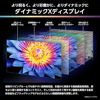 Amazon | ハイセンス【3年保証】65V型 65U9R 4K Mini LED 量子ドット