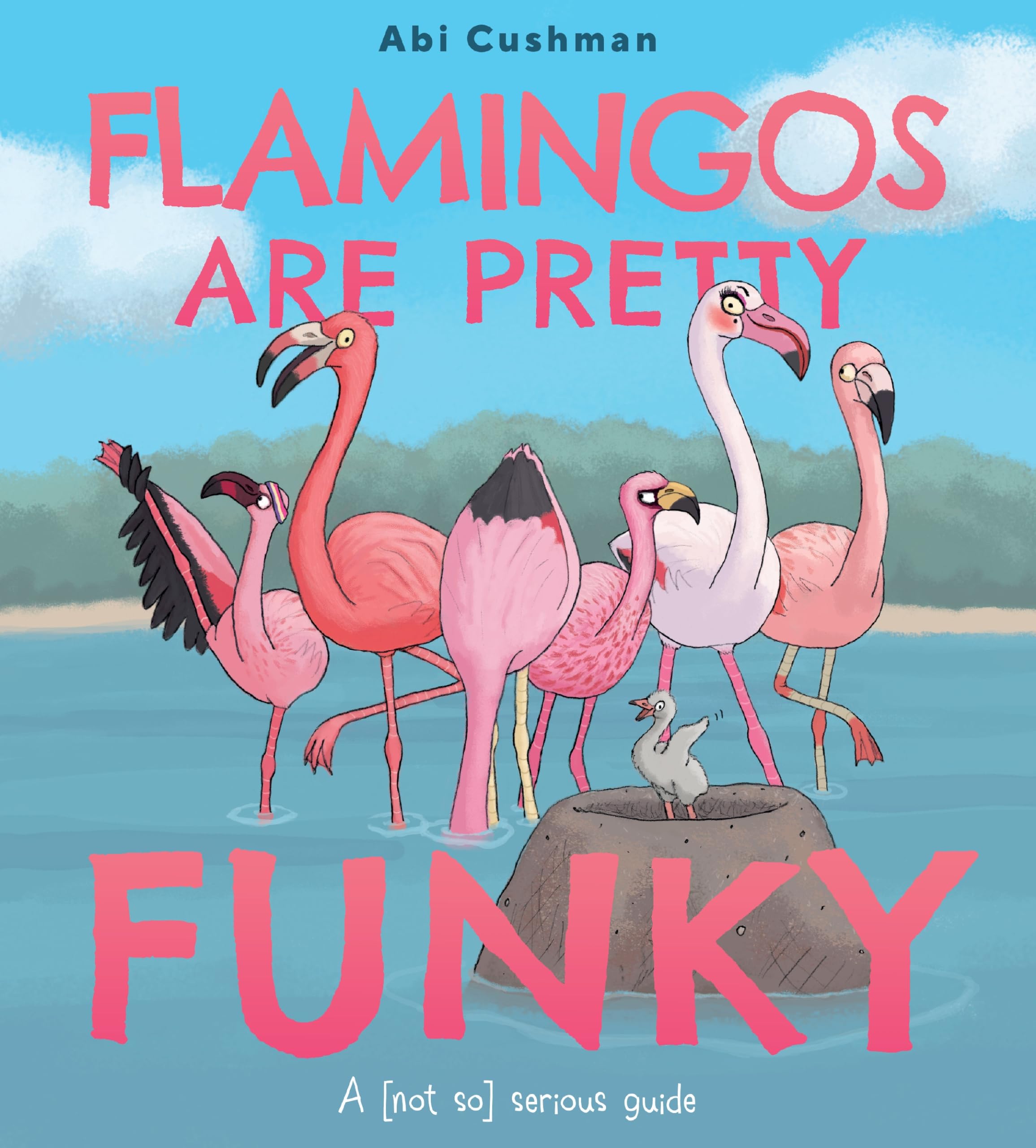 Flamingos Are Pretty Funky: A (Not So) Serious Guide – A Funny and