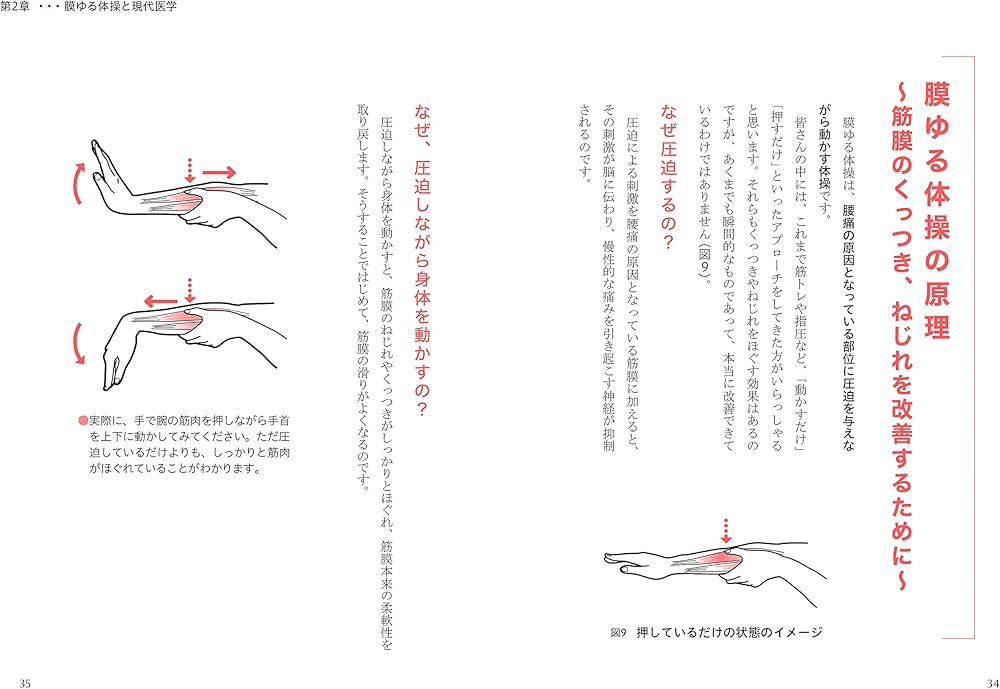 Amazon.com: 痛みが消える魔法の腰痛学: 9784569845210: 藤井 翔悟: 圖書
