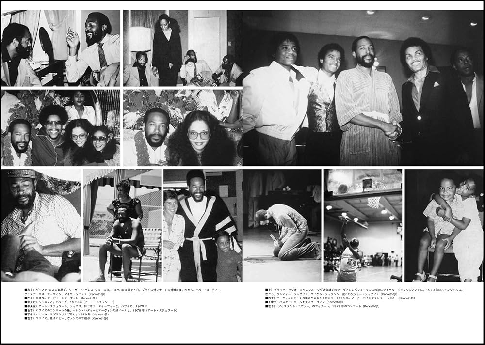 Amazon.co.jp: マーヴィン・ゲイ物語 引き裂かれたソウル (P‐Vine