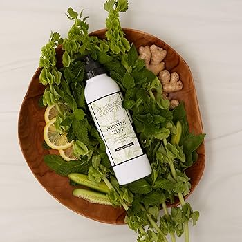 Amazon.com : Archipelago Botanicals Morning Mint Lotion, Mint