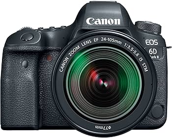 Amazon.com : Canon EOS 6D Mark II with EF 24-105mm is STM Lens