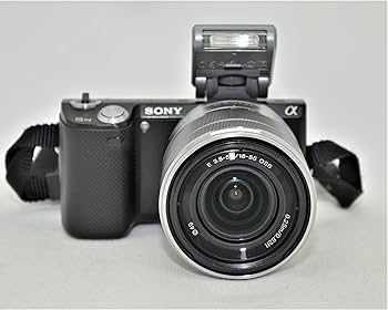 Amazon.co.jp: SONY デジタル一眼カメラ α NEX-5N ズームレンズキット