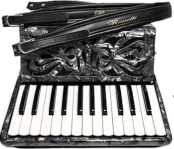 Amazon.com: Rossetti 2512 Piano Accordion 12 Bass 25 Keys with