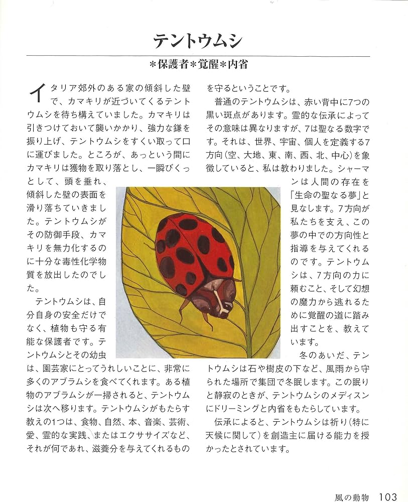 81tw6xK6wfL._AC_UF1000,