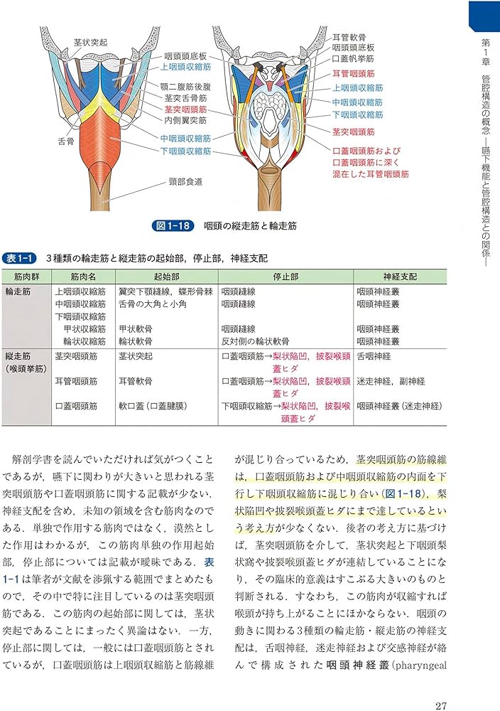 81uJFQIHi5L._AC_UF1000,