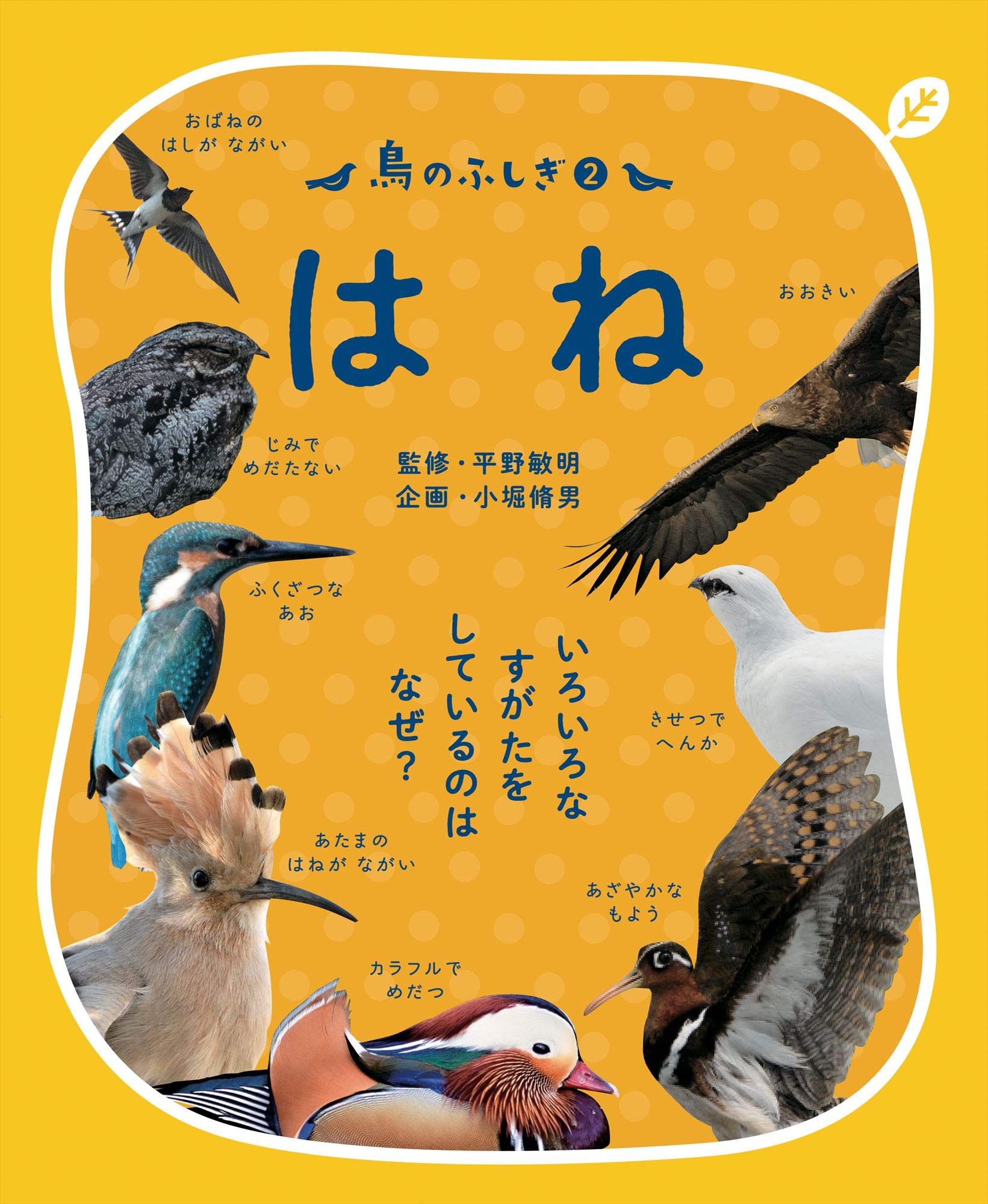 鳥のふしぎ2 はね: いろいろなすがたをしているのは なぜ? | 平野敏明
