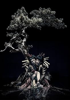 Amazon.co.jp: the GazettE LIVE TOUR 12-13(DIVISION)FINAL MELT LIVE