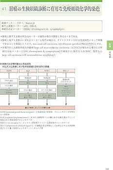 組織病理カラーアトラス[Web付録付] 第3版 | 坂本 穆彦 |本 | 通販