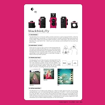 Amazon.co.jp: 【blackbird, fly(ディケイドピンク)】仮面ライダー