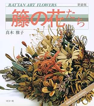 81wyMEl4P1L._AC_UF350,