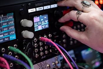 Amazon.com: 1010music Bitbox Micro Eurorack Compact Sampler with