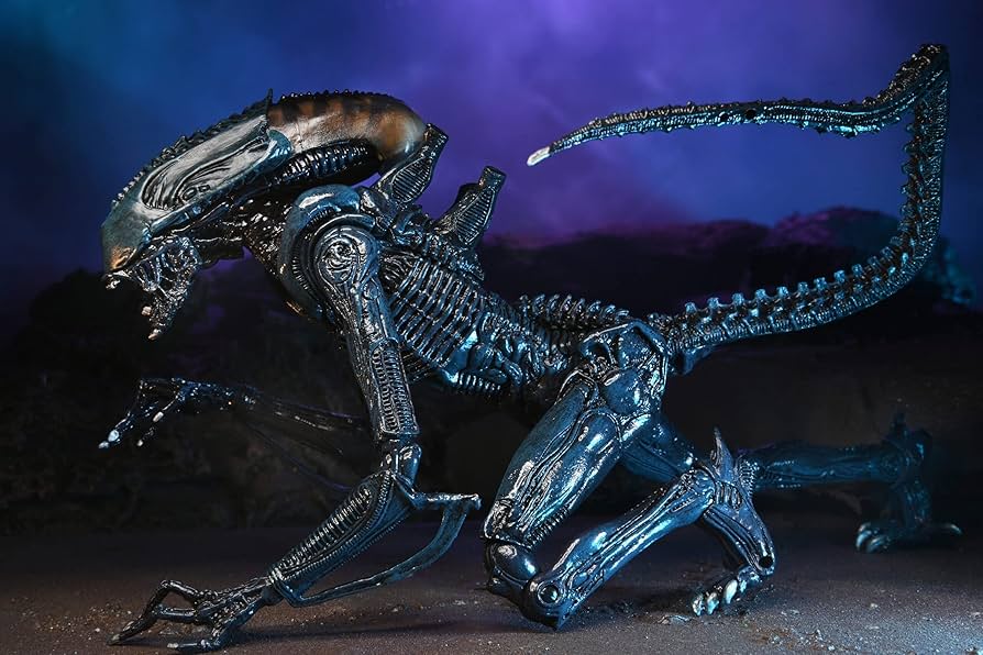 Amazon.com: NECA Alien vs Predator 7