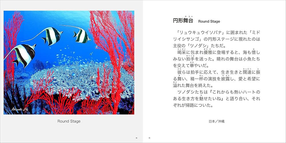 Amazon.co.jp: 奇跡の海物語 伊東昭義 : 伊東昭義: 本