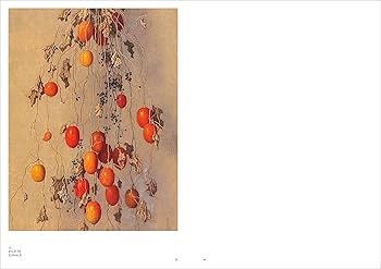 Amazon.co.jp: 高島野十郎画集 作品と遺稿 : 高島 野十郎, 西本匡伸