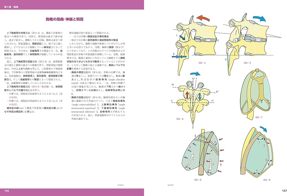 カラー版カパンジー機能解剖学 全3巻原著第6版I上肢 II下肢 III脊椎