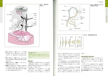 カイロプラクティック テクニック教本 ――理論と実践―― | ヘンリク