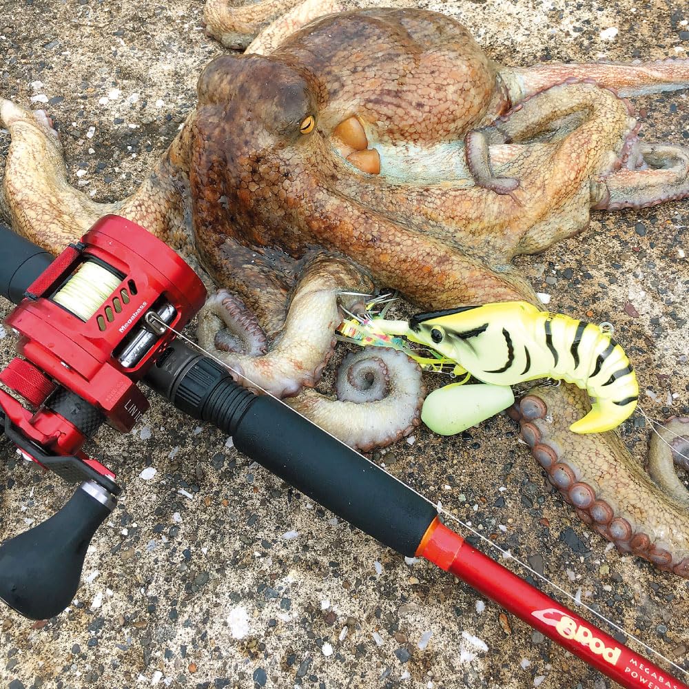 Amazon | メガバス(Megabass) 8Pod ROD 8P-762XHC 36829 | メガバス