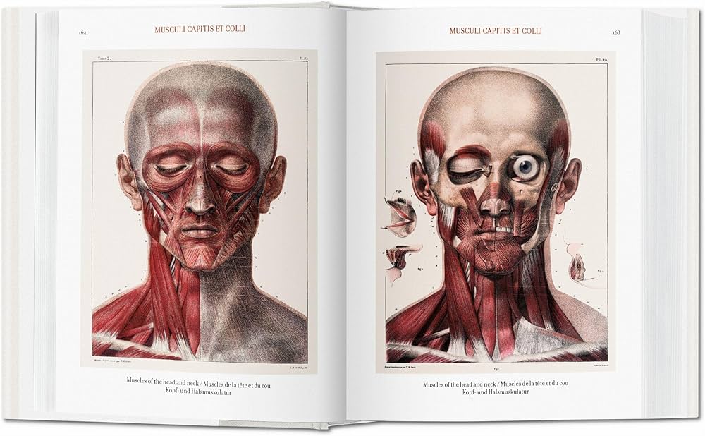 Amazon | Bourgery. Atlas of Human Anatomy and Surgery (Bibliotheca