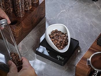 81BpX1QrV1L._AC_UF350,